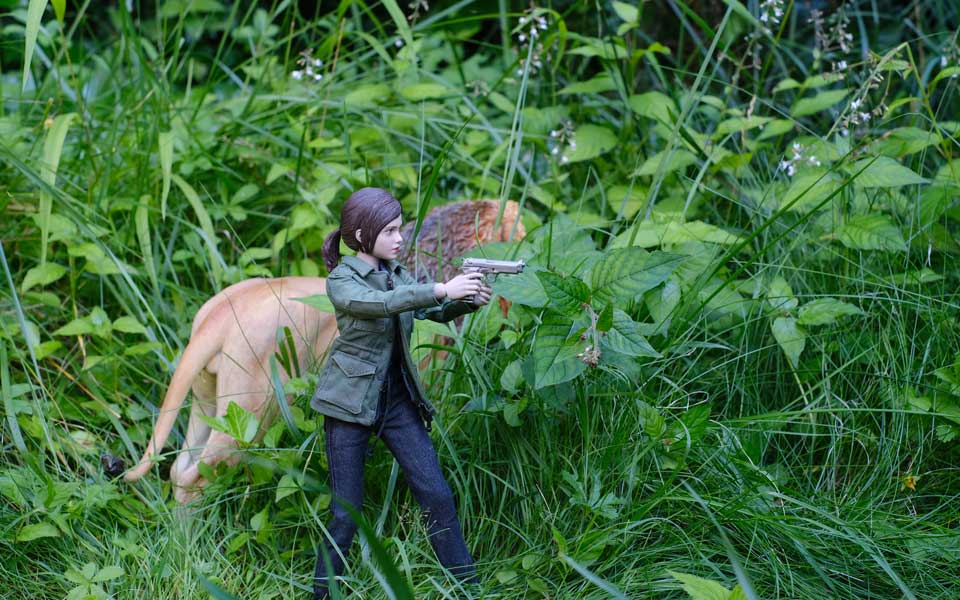 Nova mit Löwe Mufasa in der Wildnis des Distrikt Helvetia