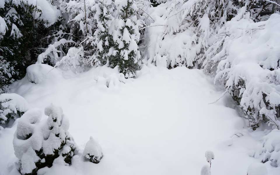 Der Distrikt Helvetia versinkt in der weissen Pracht