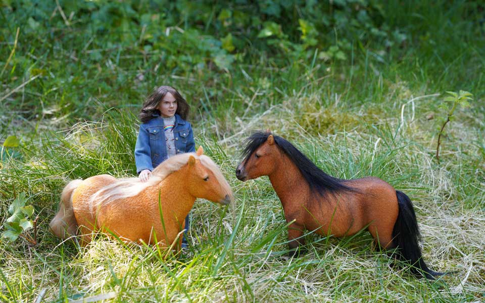 Wild lebende Shetlandponys freuen sich über den Besuch von Kara